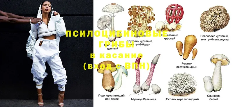 кракен онион  Котельниково  Галлюциногенные грибы ЛСД 